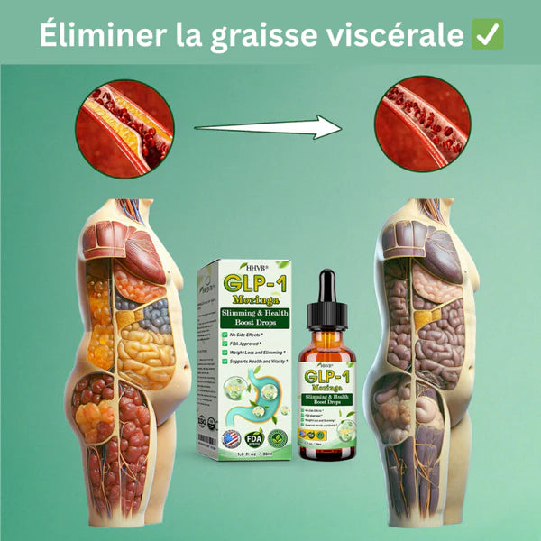 GLP-1 Gouttes Minceur à la Moringa ✅ Brûleur de graisse 100 % naturel, développé par des experts en perte de poids. Pour une silhouette affinée et une santé renforcée.