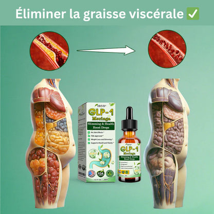 GLP-1 Gouttes Minceur à la Moringa ✅ Brûleur de graisse 100 % naturel, développé par des experts en perte de poids. Pour une silhouette affinée et une santé renforcée.