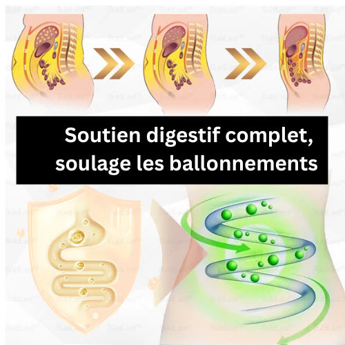GLP-1 Gouttes Minceur à la Moringa ✅ Brûleur de graisse 100 % naturel, développé par des experts en perte de poids. Pour une silhouette affinée et une santé renforcée.